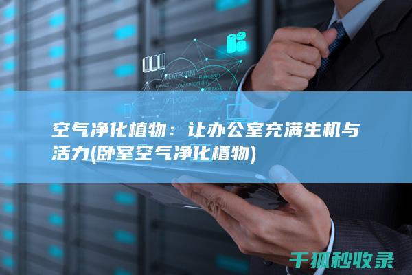 空气净化植物：让办公室充满生机与活力 (卧室空气净化植物)