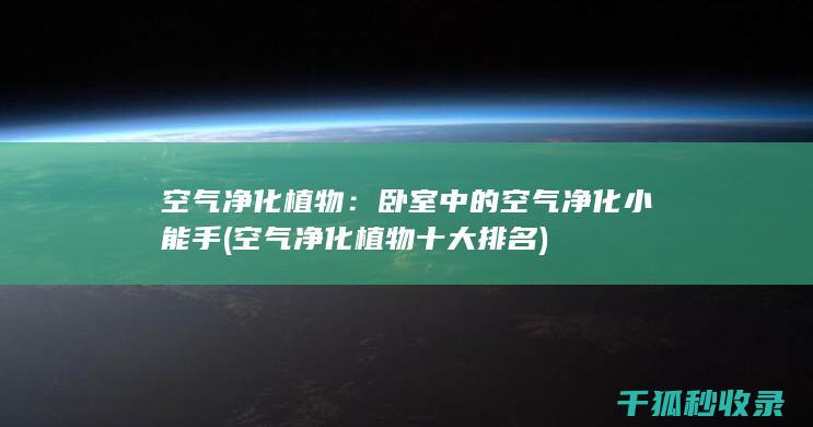 空气净化植物：卧室中的空气净化小能手 (空气净化植物十大排名)