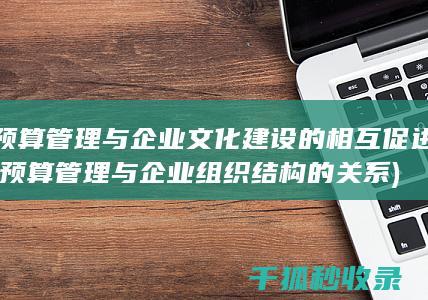 预算管理与企业文化建设的相互促进 (预算管理与企业组织结构的关系)