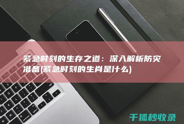 紧急时刻的生存之道：深入解析防灾准备 (紧急时刻的生肖是什么)