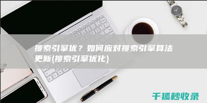 搜索引擎优？如何应对搜索引擎算法更新 (搜索引擎优化)