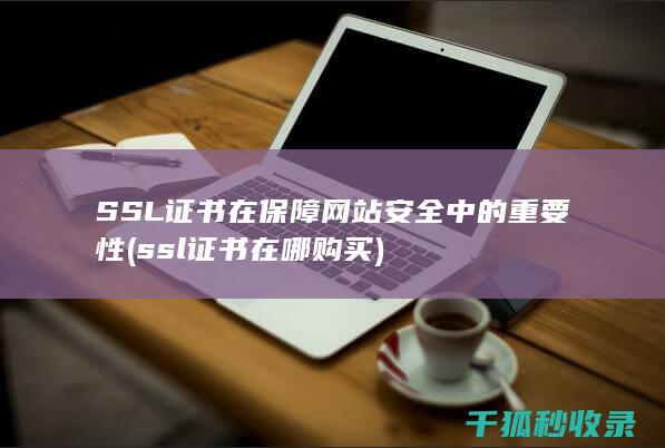 SSL证书在保障网站安全中的重要性 (ssl证书在哪购买)