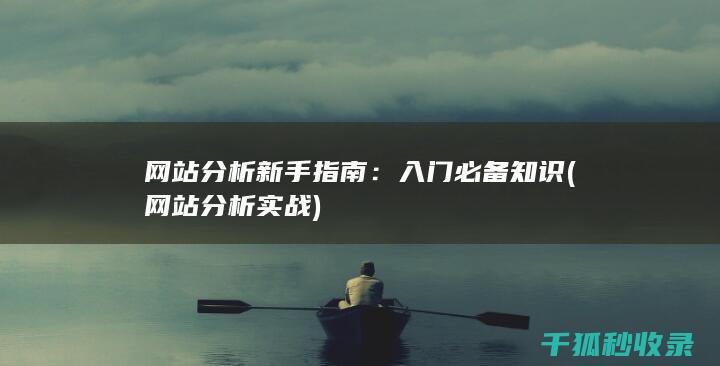 网站分析新手指南：入门必备知识 (网站分析实战)