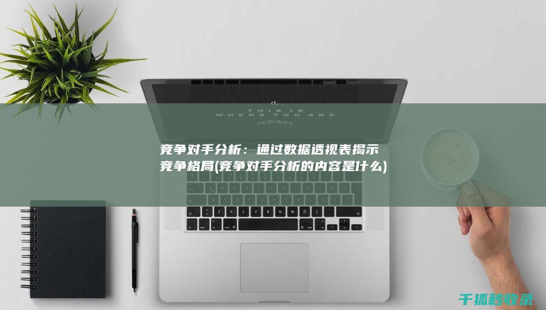 竞争对手分析：通过数据透视表揭示竞争格局 (竞争对手分析的内容是什么)