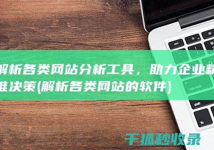 解析各类网站分析工具，助力企业精准决策 (解析各类网站的软件)