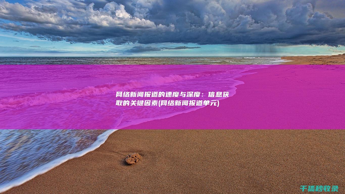 网络新闻报道的速度与深度：信息获取的关键因素 (网络新闻报道单元)