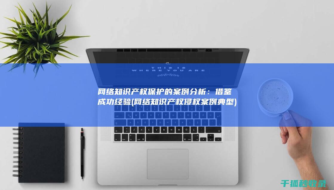 网络知识产权保护的案例分析：借鉴成功经验 (网络知识产权侵权案例典型)