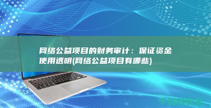 网络公益项目的财务审计：保证资金使用透明 (网络公益项目有哪些)