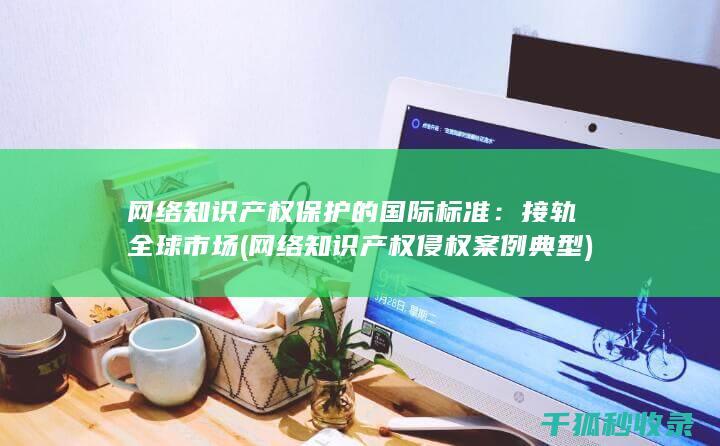 网络知识产权保护的国际标准：接轨全球市场 (网络知识产权侵权案例典型)