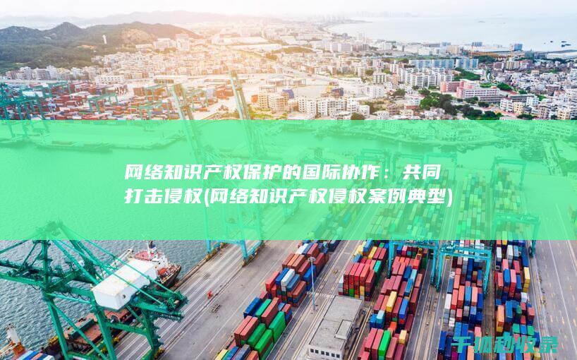网络知识产权保护的国际协作：共同打击侵权 (网络知识产权侵权案例典型)