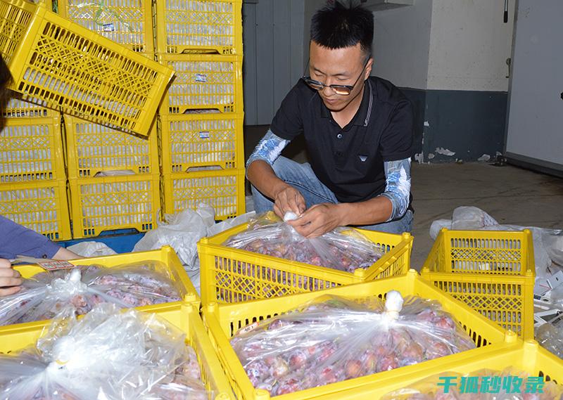 食材保鲜大招：延长食物新鲜期的实用技巧 (食材保鲜大招怎么做)
