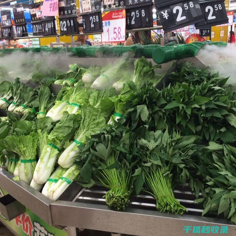 食材保鲜全攻略：让食物保持新鲜的秘诀 (食材保鲜攻略)