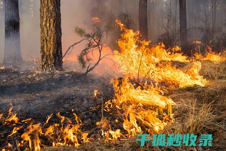 火灾自救：灭火器的正确使用方法，关键时刻的救命之法 (火灾中灭火自救的4种方法)