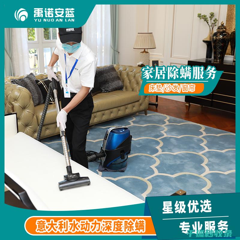 地毯除螨全解析：从原理到方法的详细介绍 (地毯除螨全解视频)