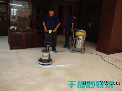 地毯除螨经验分享：实用方法让你事半功倍 (地毯除螨经验分享)