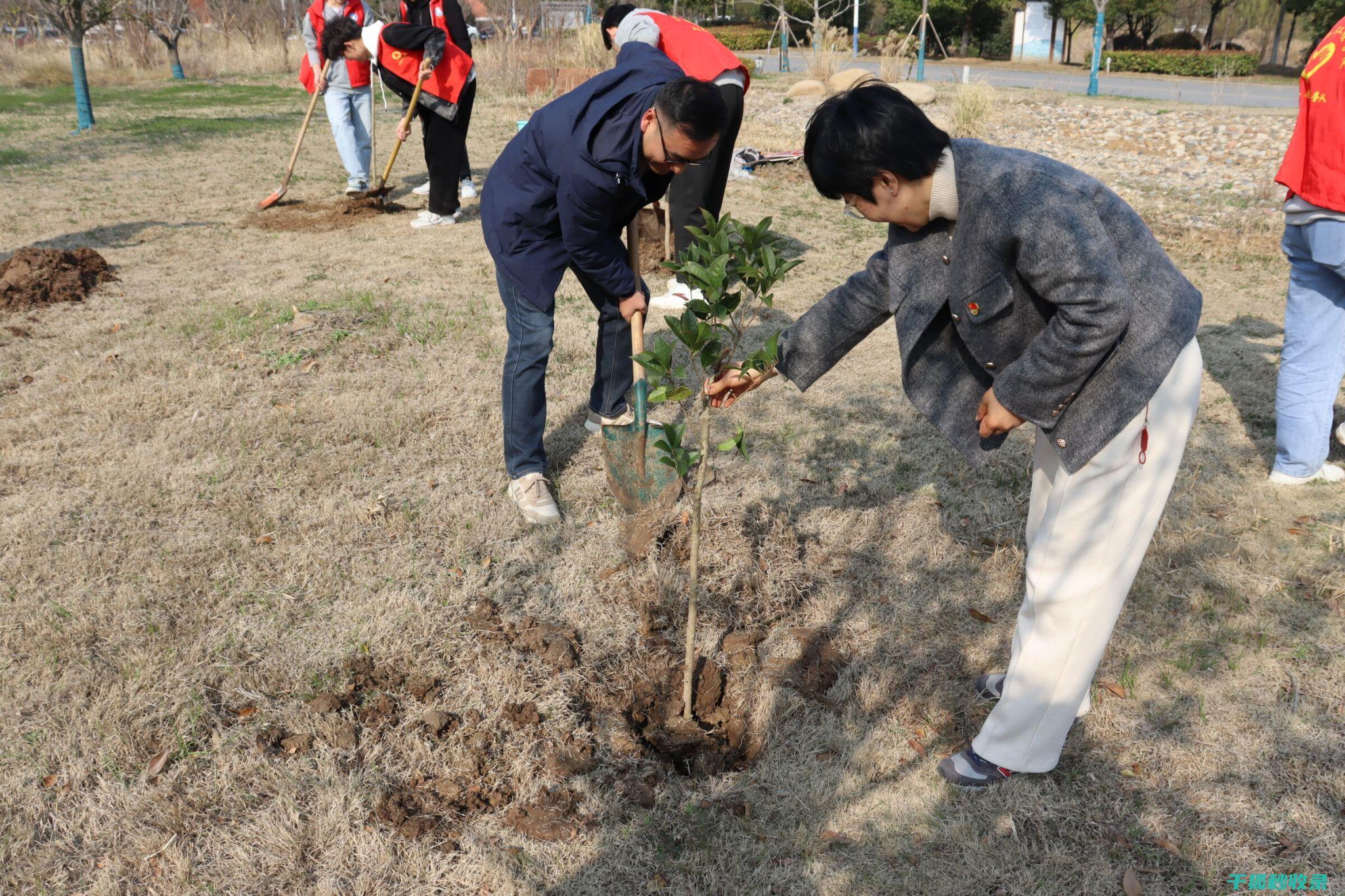 植树节：用绿色为地球增添魅力 (植树节用绿色装扮教室 作文200字怎么写)