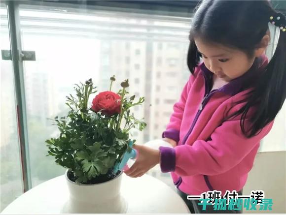植树节用绿色做树