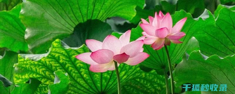 夏季行车必备：晒后轮胎胎压检测全解析 (夏季行车必备知识)