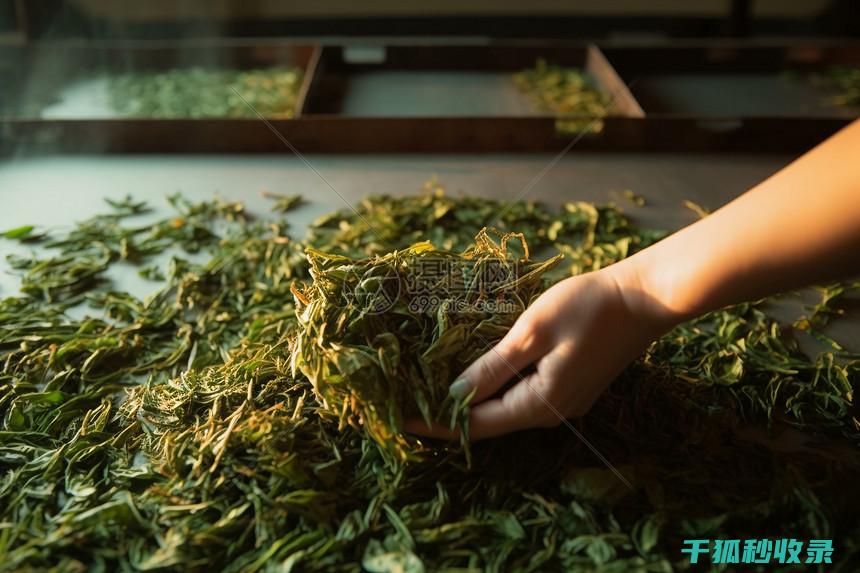晒后的轮胎胎压检测，夏季行车的安全提示！ (轮胎暴晒)