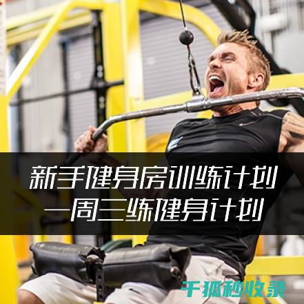 应季健身计划：秋季健身减肥计划 (健身计划分为适应期 巩固期)