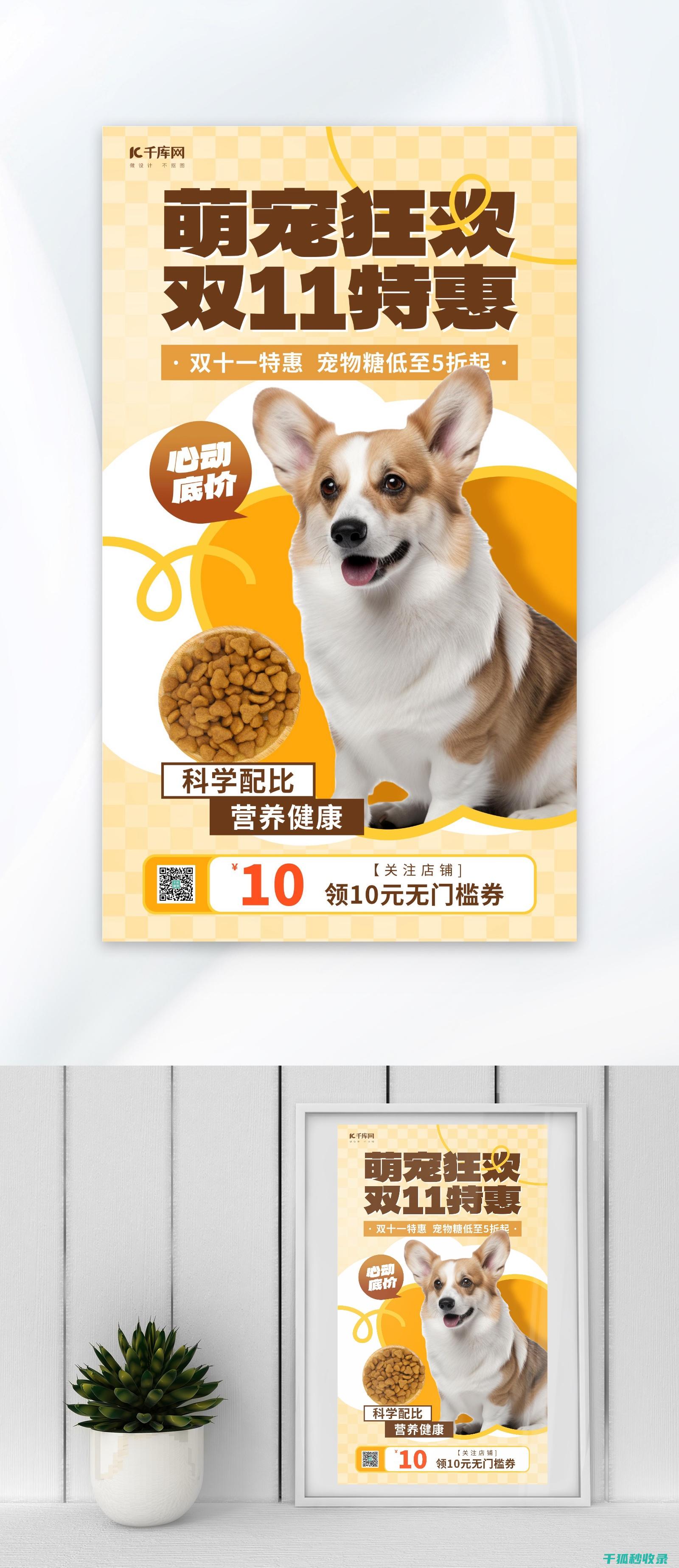 应季宠物用品：秋季宠物用品推荐 (宠物用品旺季)