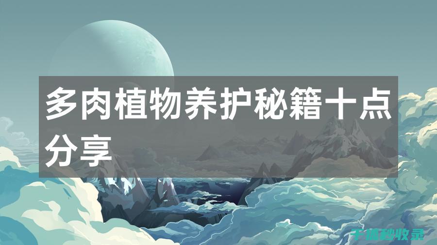 多肉植物养护秘籍：让叶片更加翠绿 (多肉植物养护方法)
