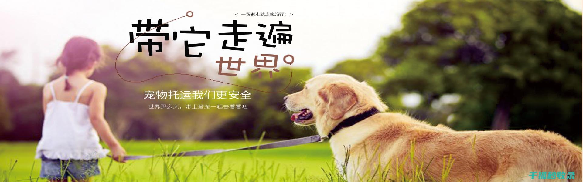 宠物驱虫周期：预防为主，科学规划 (宠物驱虫周期多久)