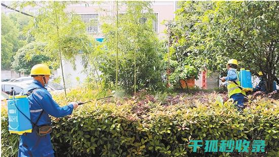 植物病虫害防治：如何通过合理的采收时间降低病虫害风险 (植物病虫害防治)