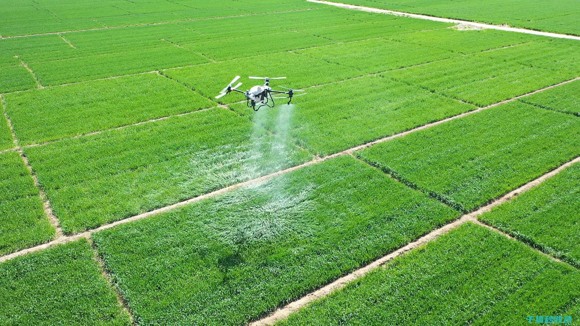 植物病虫害防治：如何通过合理的化学防治系统降低病虫害风险 (植物病虫害防治)