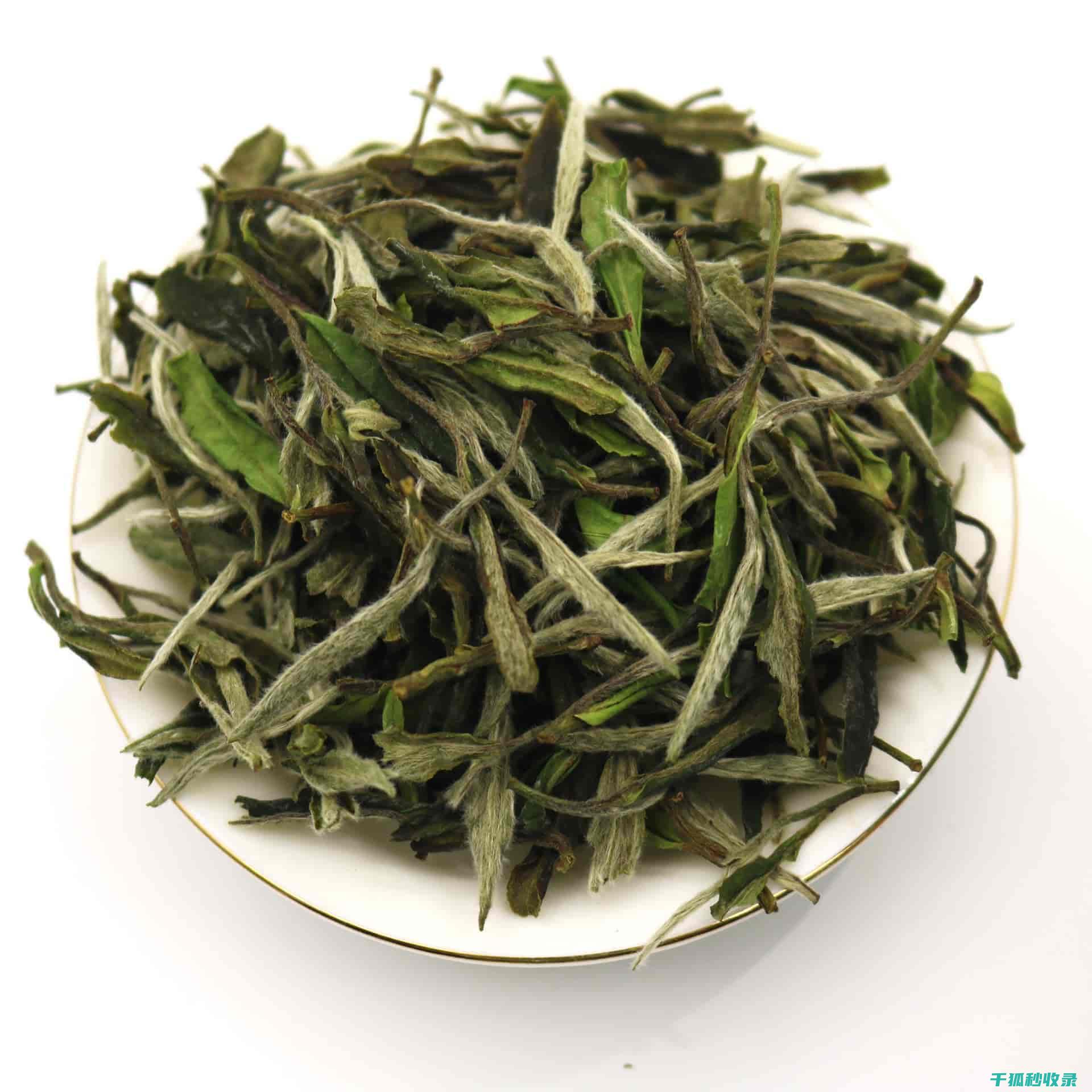 白鞋清洁全记录：从新手到专家的成长之路 (白鞋 清洁)