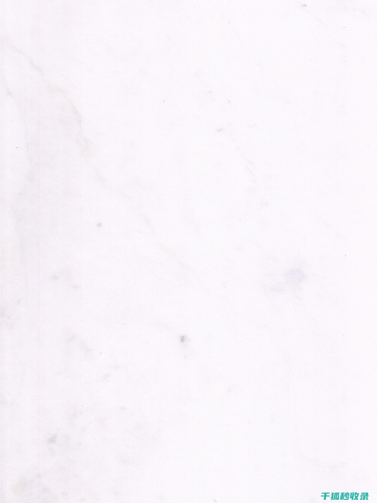 白鞋清洁全手册：从污渍去除到保养的全面介绍 (白鞋清洁全手洗可以吗)
