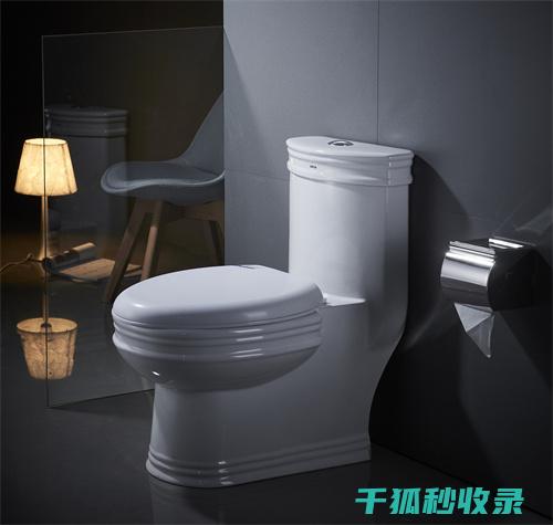马桶清洁消毒全攻略：从工具选择到方法详解 (马桶清洁消毒步骤)
