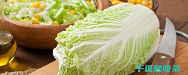 延长蔬菜保鲜时间的90个实用技巧 (延长蔬菜保鲜期的植物激素)