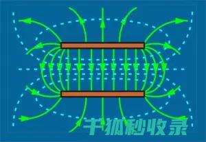 电磁炉锅具的选择与保养：确保高效运行 (电磁炉用的锅)