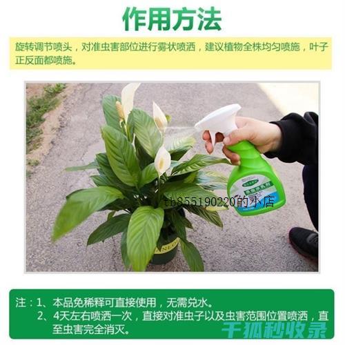 植物驱虫：如何利用植物保护您的家庭免受害虫侵袭 (植物 驱虫)