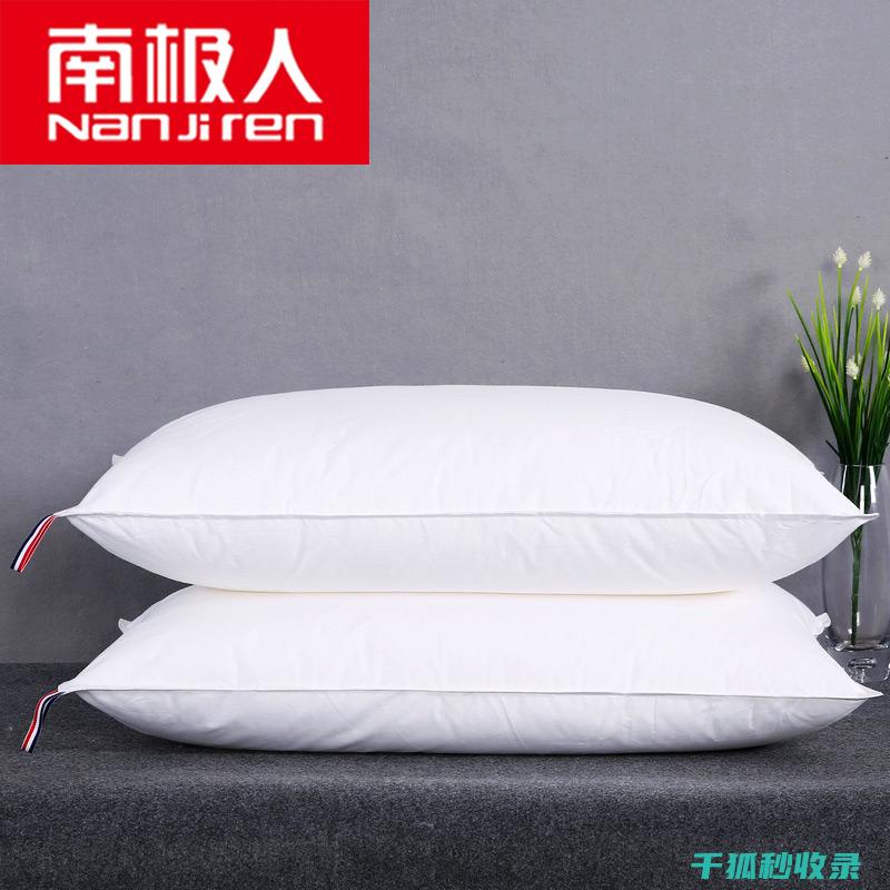 枕头除螨全知道：选择与使用除螨产品的全面指南 (给枕头除螨)