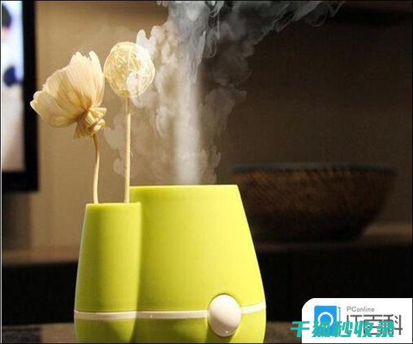 加湿器清洁：从日常维护到深度清洁的全解析 (加湿器清洁方法)