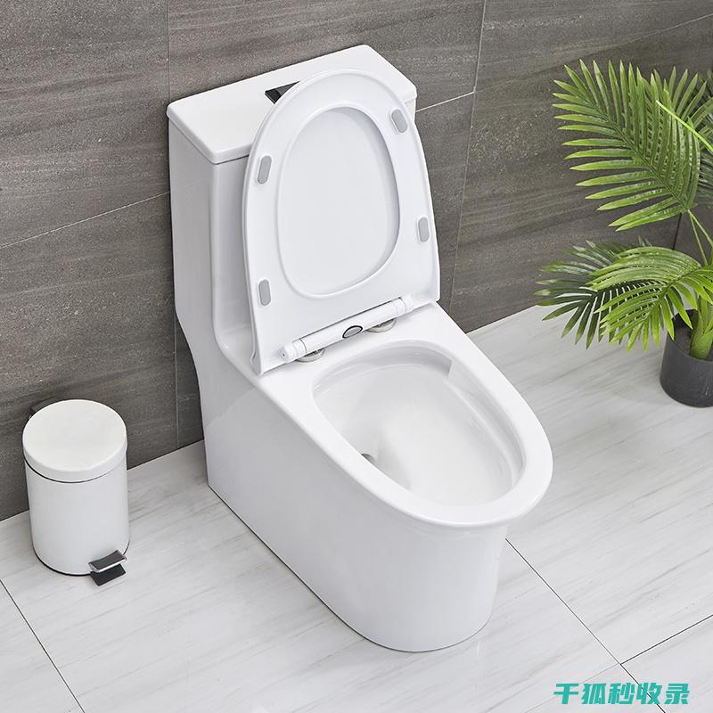 马桶水箱清洁误区大揭秘：避免这些错误 (马桶水箱清洁剂危害)