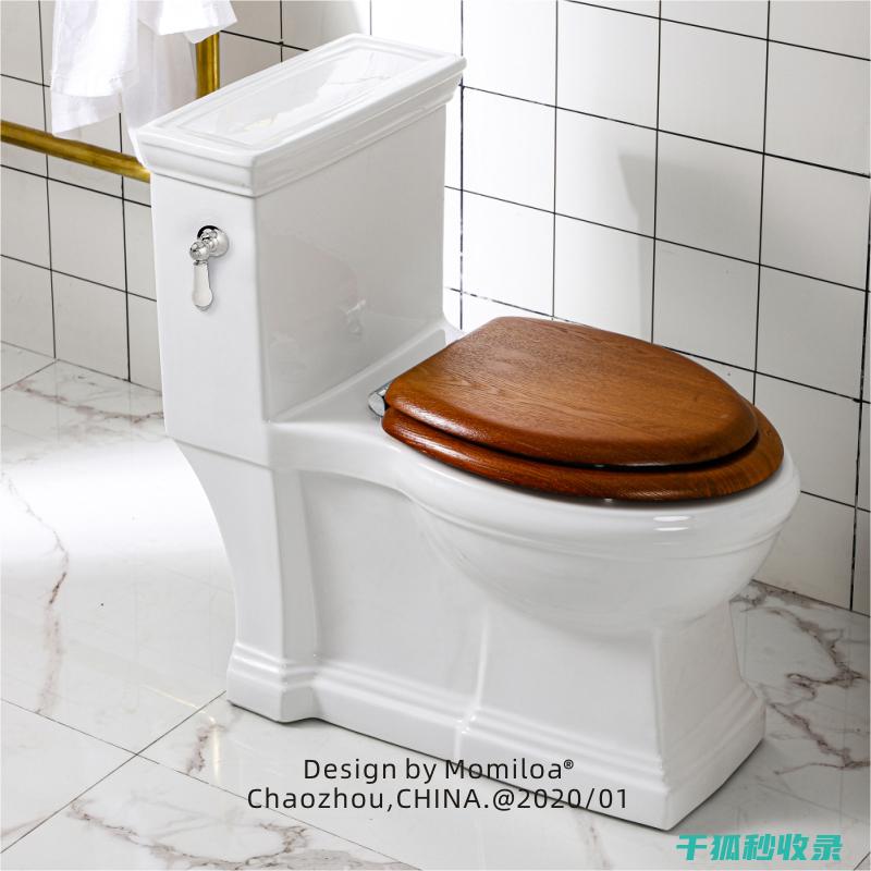 马桶水箱清洁与保养：打造干净卫生的厕所环境 (马桶水箱清洁蓝色放水里叫什么)