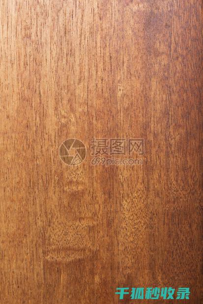 木质家具清洁工具推荐：提升清洁效率的秘密武器 (木质家具清洁剂哪个牌子好)