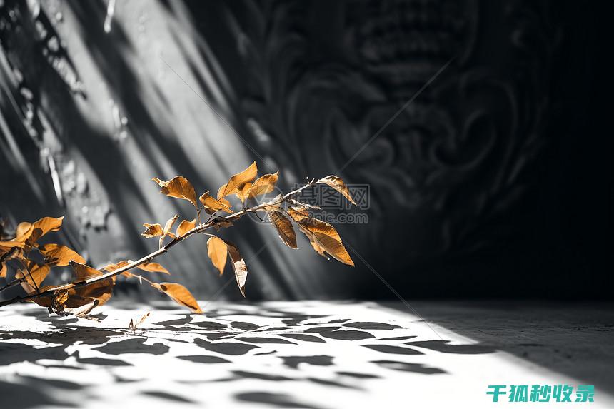 植物叶片光亮：阳光与水分协同作用的结果 (植物叶片光亮剂配方)