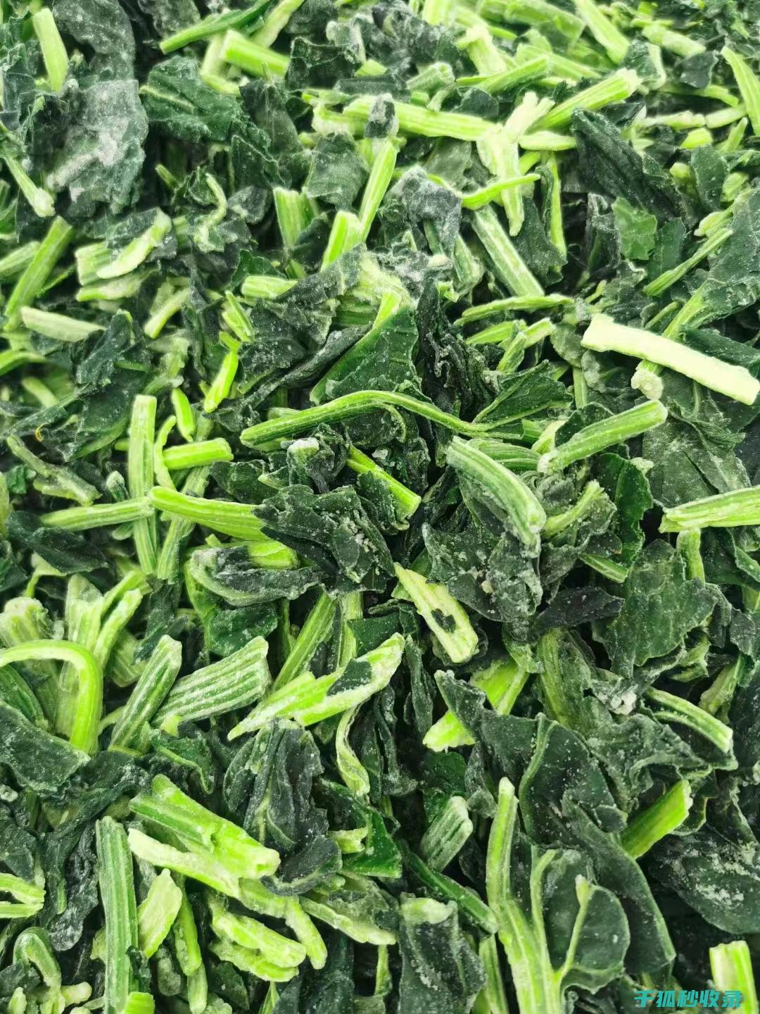 蔬菜快速解冻全攻略：让你的食材恢复生机 (蔬菜快速解冻的方法)