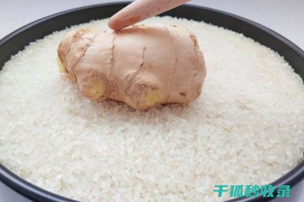 生姜保存全攻略：正确保存方法全揭秘 (生姜保存原来如此简单)