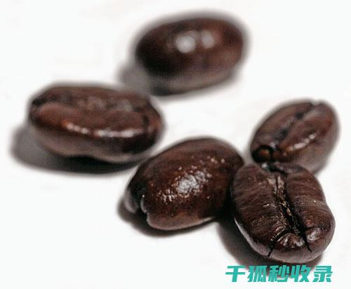 咖啡豆保存全解析：从基础到进阶的完整指南 (咖啡豆保存全过程图片)