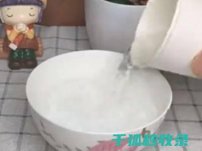 烤箱去油污小窍门：让厨房环境更卫生 (烤箱去油污小妙招)