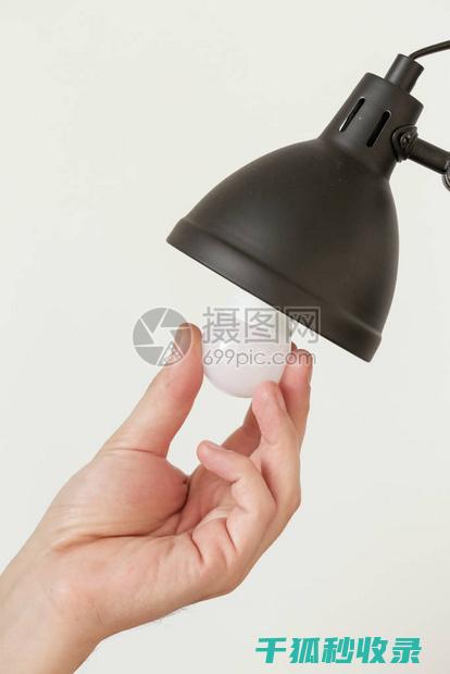 DIY灯泡除尘：轻松清除灰尘的小窍门 (处理灯泡)