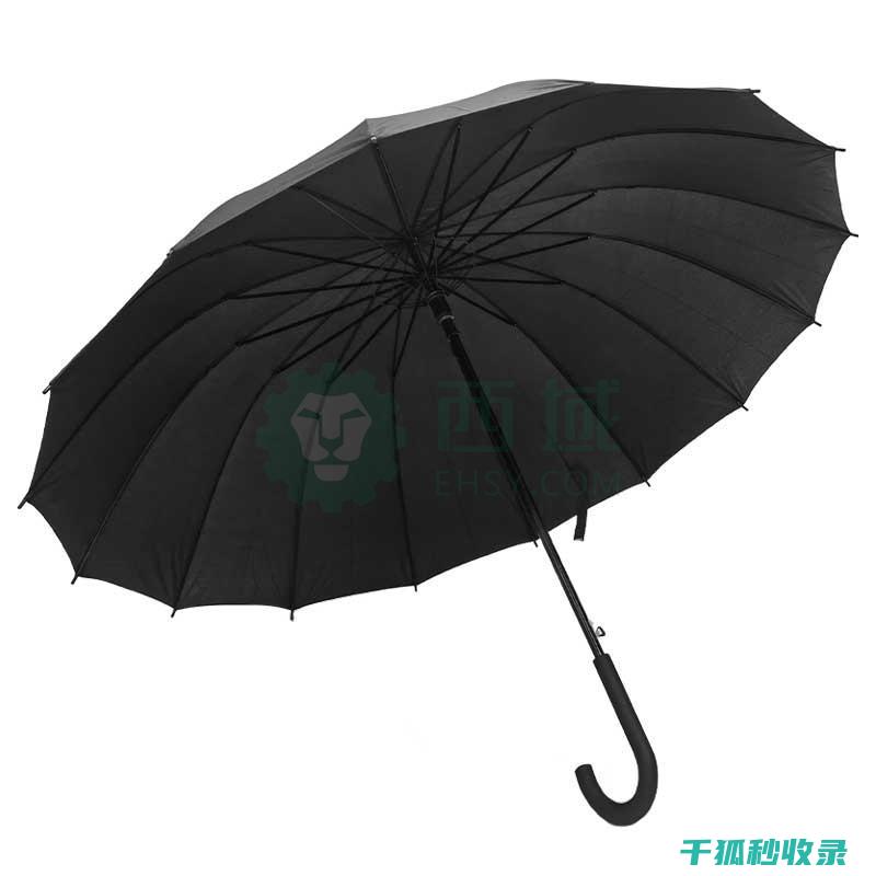 雨伞除锈新发现：简单几步轻松搞定 (雨伞除锈新发现的问题)