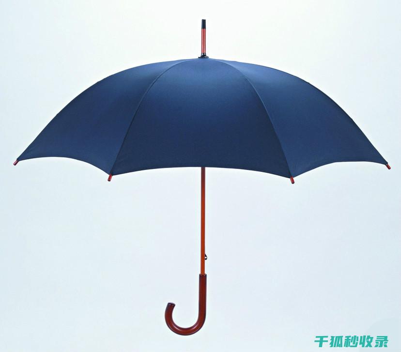 雨伞除锈小常识：让你的雨伞重获新生 (雨伞除锈小常识视频)