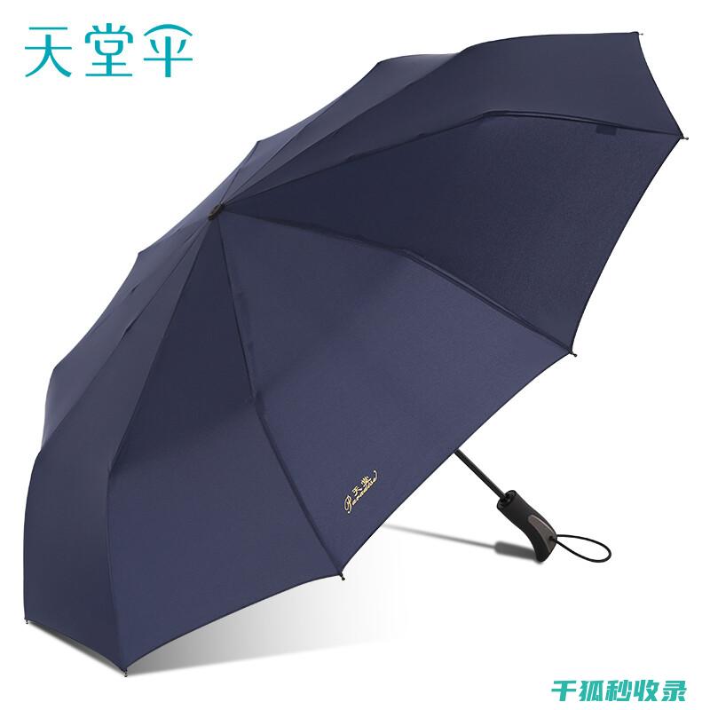 雨伞防水性能与材质的选择：实用建议 (雨伞防水性能等级划分标准)
