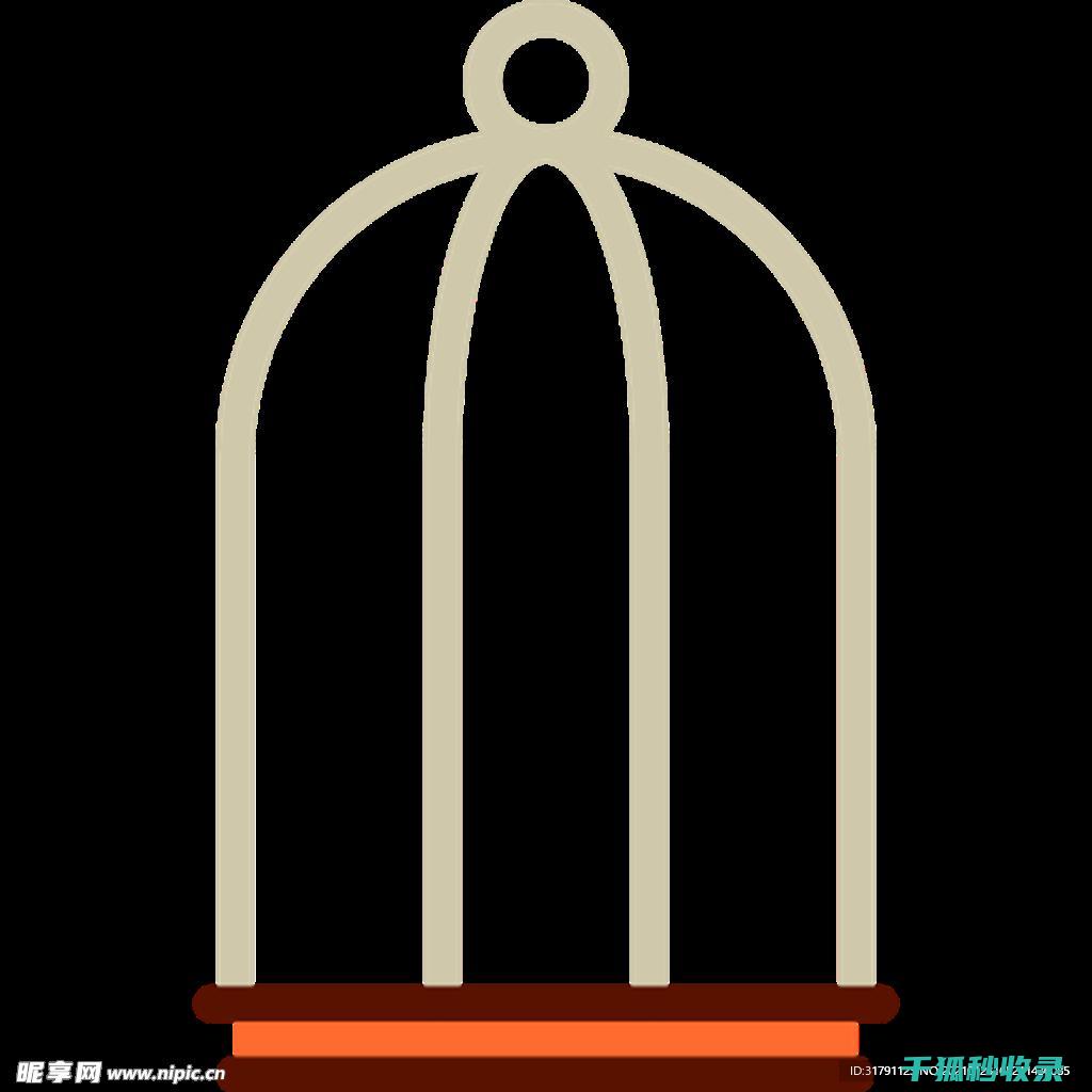 鸟笼清洁全解析：从材料选择到清洁步骤 (鸟笼清洁全解视频)